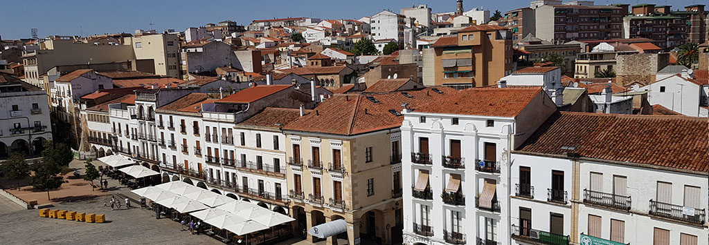 Diseñadores de páginas web en Cáceres Empresa de diseño de páginas web en Cáceres