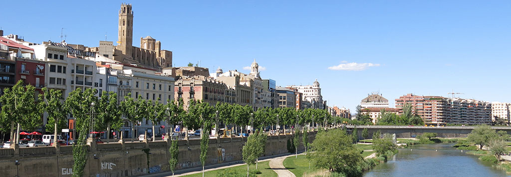 Diseñadores de páginas web en Lleida Empresa de diseño de páginas web en Lleida
