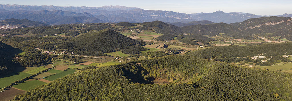 Empresa de diseño de páginas web en Olot