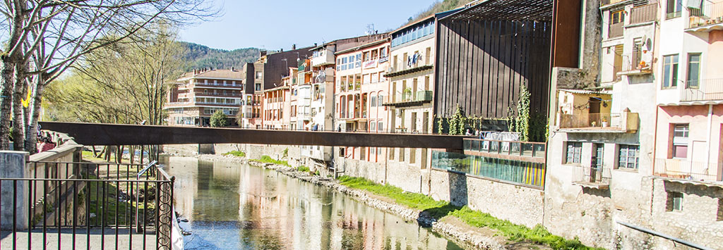 Diseñadores de páginas web en Ripoll Empresa de diseño de páginas web en Ripoll