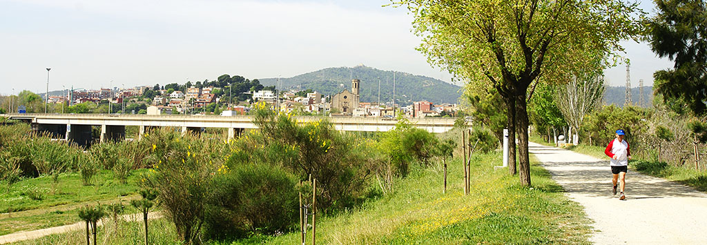 Diseñadores de páginas web en Sant Boi Empresa de diseño de páginas web en Sant Boi