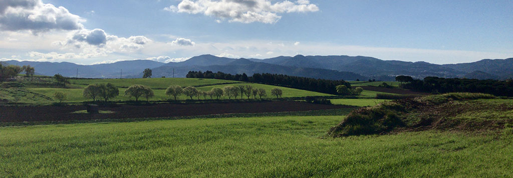 Empresa de diseño de páginas web en el Vallès Oriental y Vallès Occidental